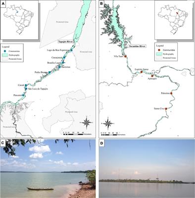 ‘Taking Fishers’ Knowledge to the Lab’: An Interdisciplinary Approach to Understand Fish Trophic Relationships in the Brazilian Amazon